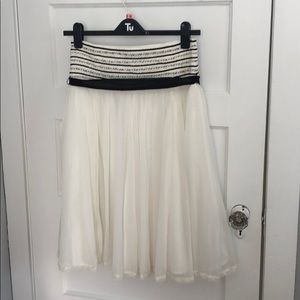 Zara tulle skirt!